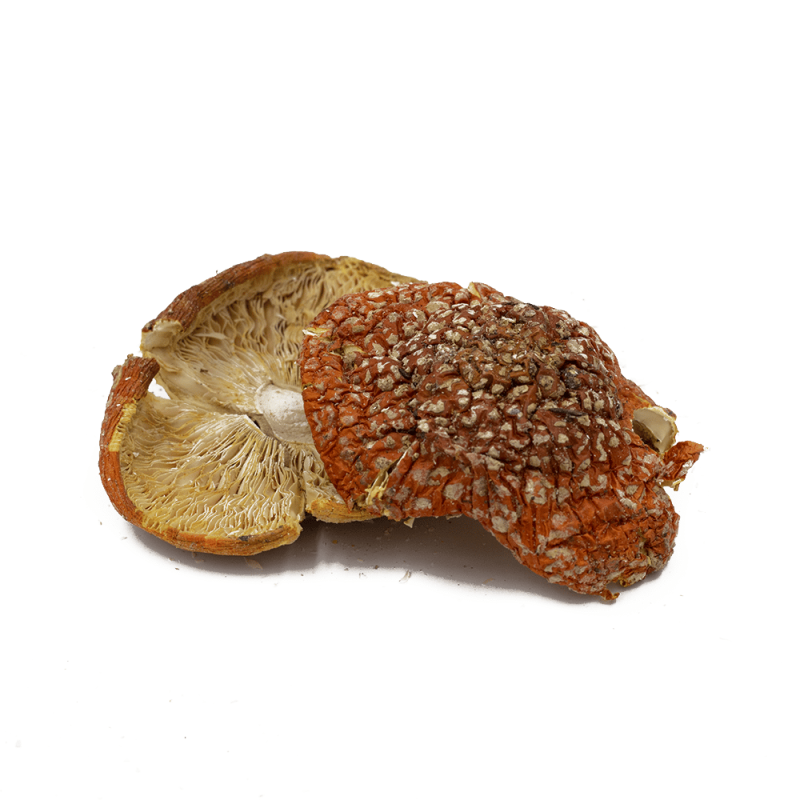 Amanita Muscaria | Dried Caps | 500g | Grade A