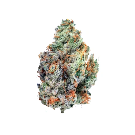 Cognitiva (Hybrid)