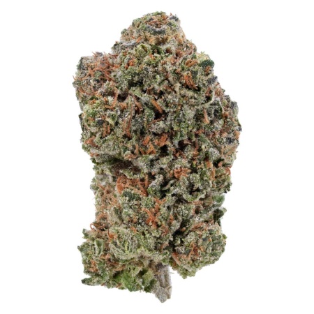 Gasoline Mintz (Sativa)