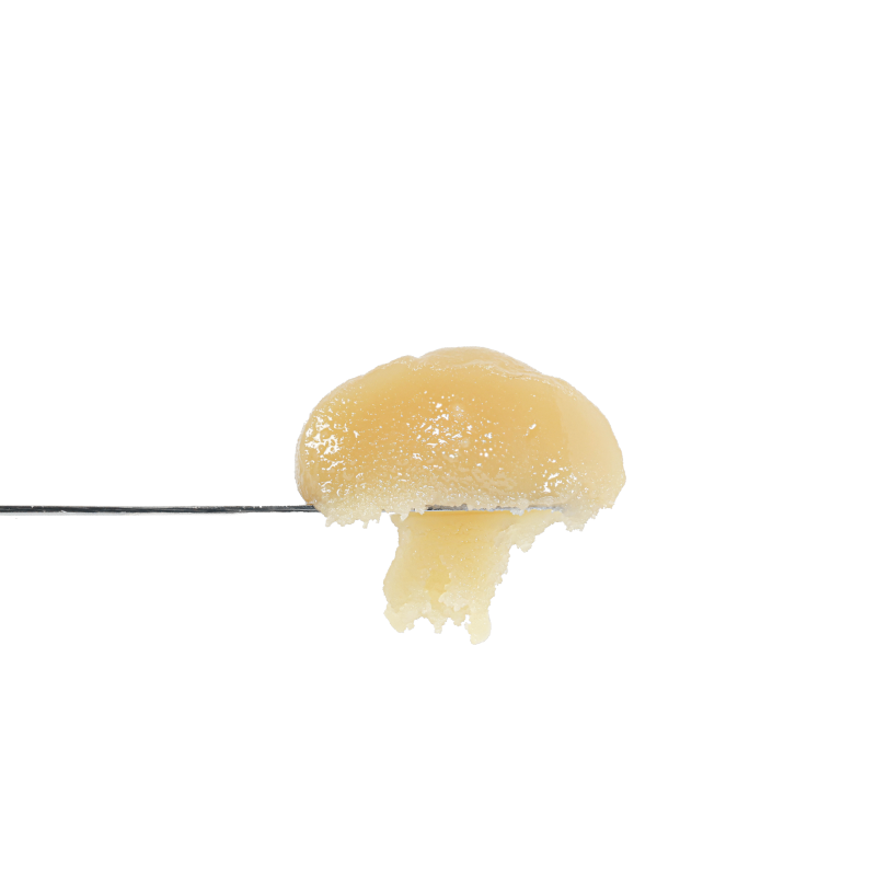 Gelato Runtz Live Resin Badder (Hybrid)