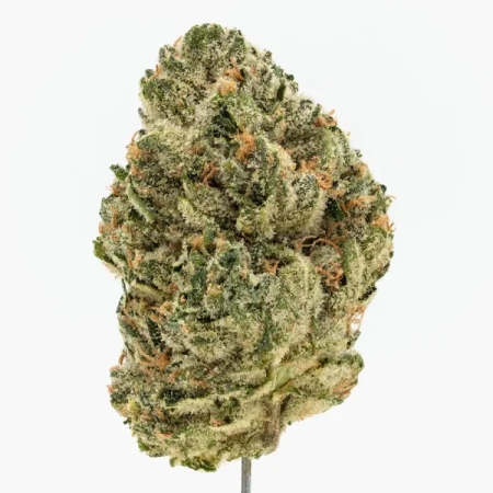 Oreo Blizzard (Indica/Hybrid)
