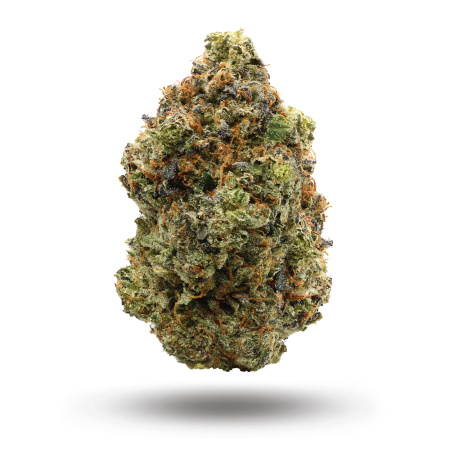 Black Trufflez (Indica/Hybrid)
