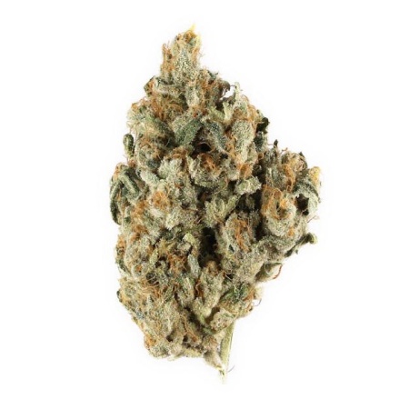 Cherry Lime  (Hybrid)