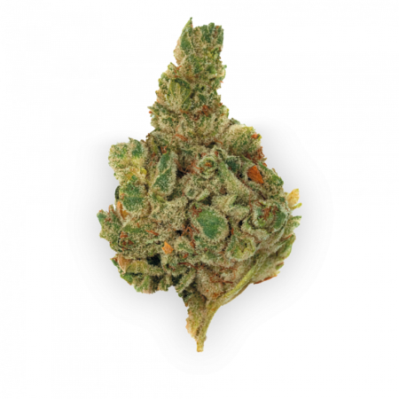 Gorilla Glue (Hybrid)