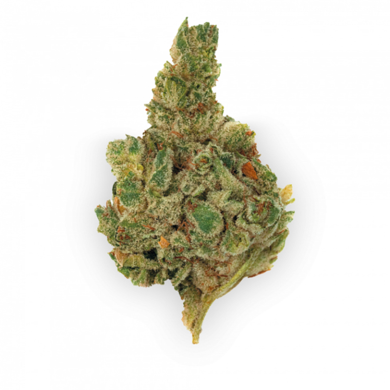 Gorilla Glue (Hybrid)