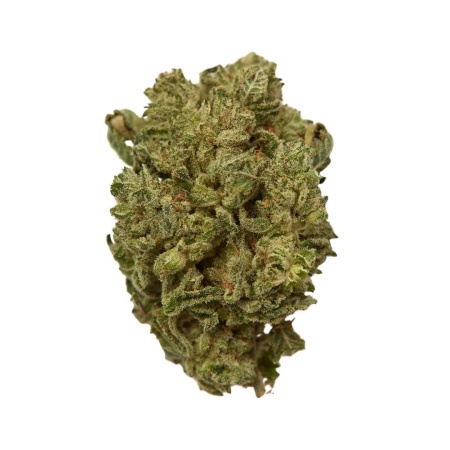 Z Topia (Indica)